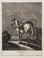 KG 01079
          <br/>
          Entwurf einiger Maulthiere und Esel. Siebender Theil. (18 bladen)
          <br/>
          <em>Ridinger, Johann Elias (1698-1767)</em>